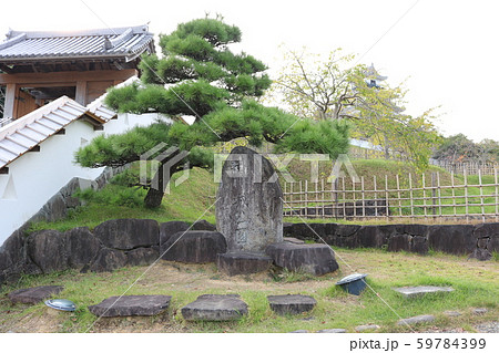 ■ 掛川城公園 ■ 石碑 ■ 山内一豊 ■ 静岡県 59784399