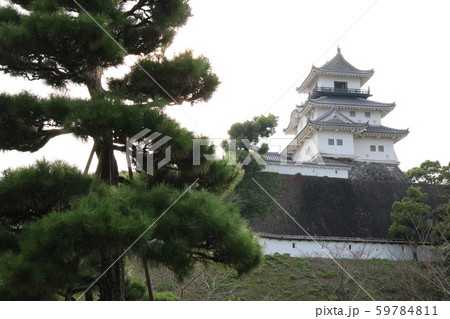 ■ 掛川城 ■ 山内一豊 ■ 静岡県 59784811