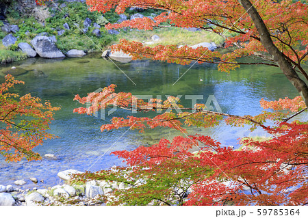 香嵐渓　紅葉 59785364