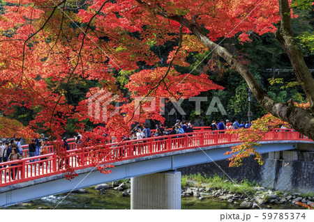香嵐渓 紅葉 香嵐渓 紅葉 59785374