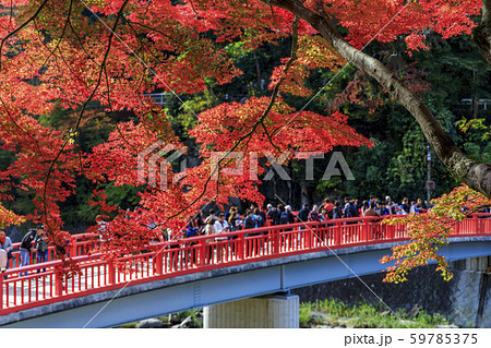 香嵐渓　紅葉 59785375