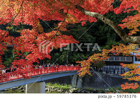 香嵐渓　紅葉 59785376