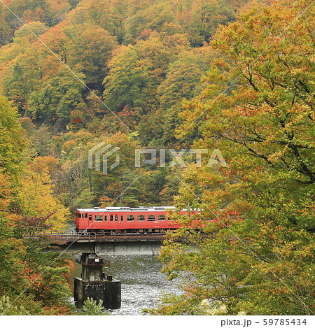 紅葉の只見線 紅葉の只見線 59785434