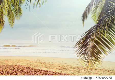 Coast in Costa Rica 59785578