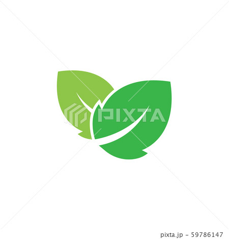 Mint leaves graphic design template vector 59786147