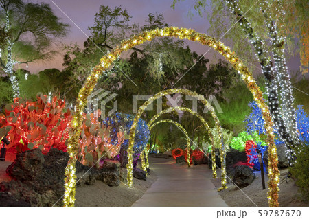 Night view of many Christmas lights 59787670