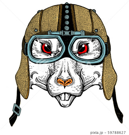 Biker, motorcyclist. Rat portrait. with leather vintage helmet. Motorcycle symbol chinese happy new 59788627
