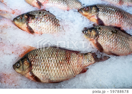 raw fish crucian on ice, sale of fish 59788678