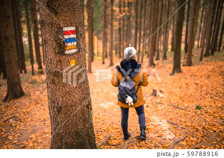 Touristic sign or mark on tree next to touristic path with female tourist in background. Nice autumn Touristic sign or mark on tree next to touristic path with female tourist in background. Nice autumn 59788916