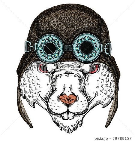 Wild aviator rat portrait. Symbol chinese happy new year 2020. Wild aviator rat portrait. Symbol chinese happy new year 2020. 59789157