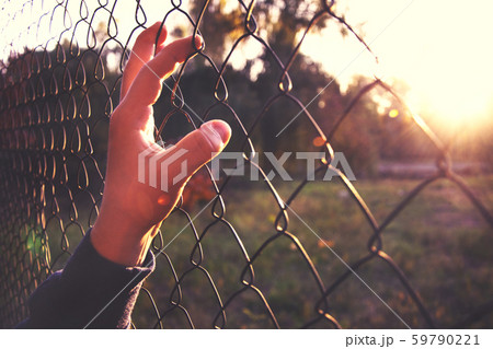 Hand on metal mesh lit by sun. Hand on metal mesh lit by sun. 59790221