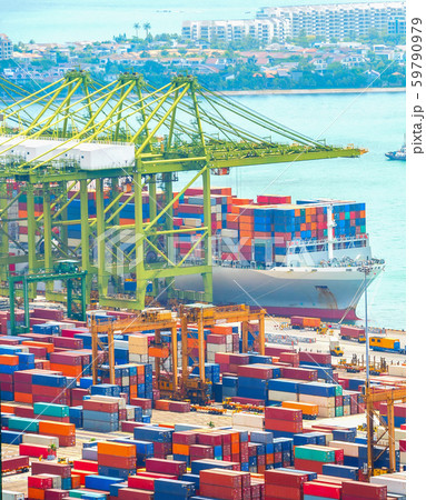 Port containers ships industrial, Singapore 59790979