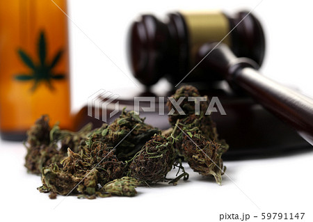 Marijuana grass with judge hummer isolated Marijuana grass with judge hummer isolated 59791147