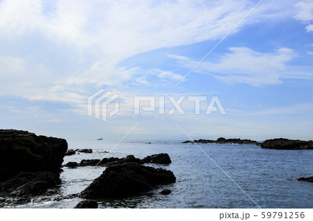 城ヶ島（秋） 59791256