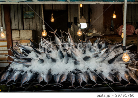 Street fish market. Fresh catch of fish in ice. 59791760