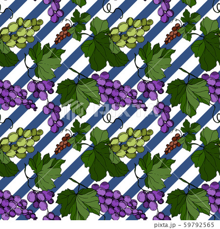 Grape berry healthy food. Black and white engraved ink art. Seamless background pattern. 59792565
