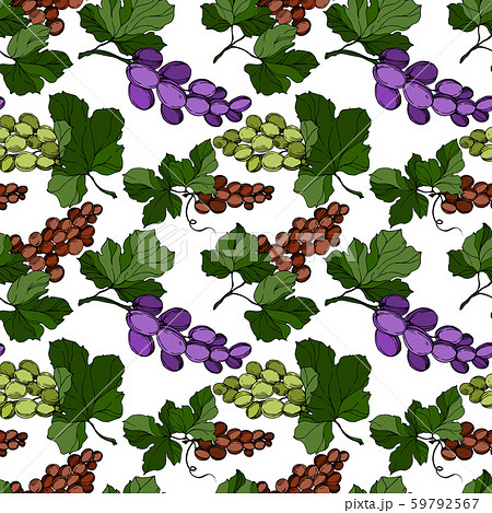 Grape berry healthy food. Black and white engraved ink art. Seamless background pattern. 59792567