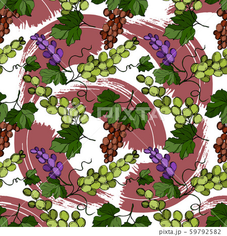 Grape berry healthy food. Black and white engraved ink art. Seamless background pattern. 59792582