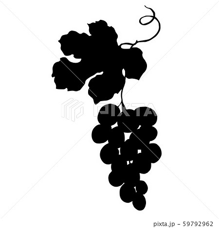 Vector Grape Berry Healthy Food Black And Stock Illustration