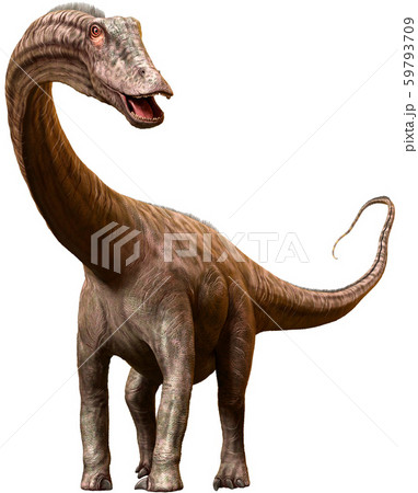 Diplodocus Dinosaur From The Jurassic Era 3d のイラスト素材