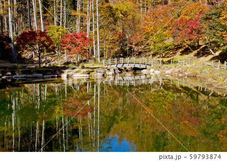 池と紅葉と橋　西ウレ峠遊歩道 59793874