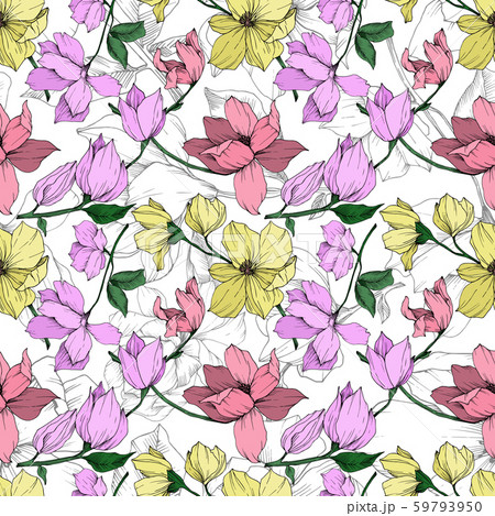 Vector Magnolia floral botanical flowers. Black and white engraved ink art. Seamless background 59793950