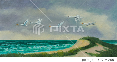 Four migratory birds fly on the coast above the 59794260