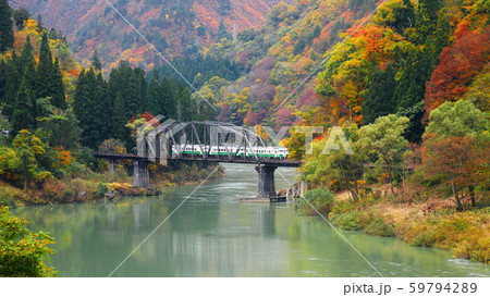 只見線第四橋梁と列車 只見線第四橋梁と列車 59794289