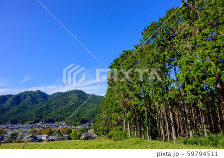 京都大原の針葉樹林と山里風景 京都大原の針葉樹林と山里風景 59794511