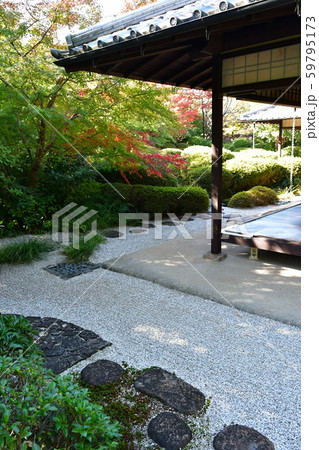 秋の丈山苑 詩泉閣 秋の丈山苑 詩泉閣 59795173