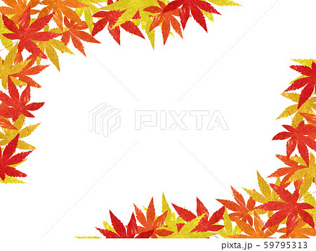 紅葉　背景　素材 59795313