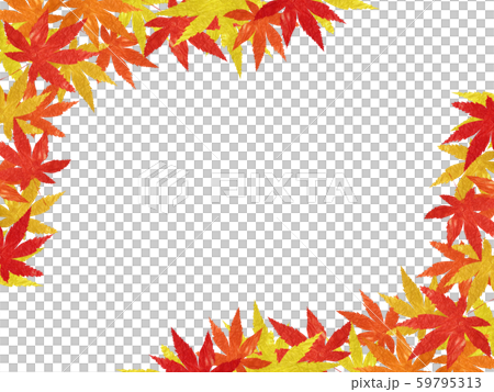 紅葉　背景　素材 59795313