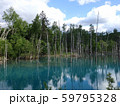 青い池 59795328