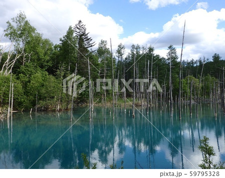 青い池 青い池 59795328