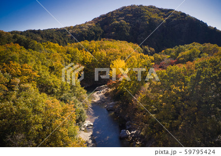 嵐山渓谷の紅葉　埼玉県嵐山町　（ドローンによる空撮） 59795424