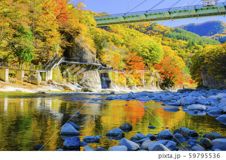 紅葉の諏訪峡と橋2 紅葉の諏訪峡と橋2 59795536