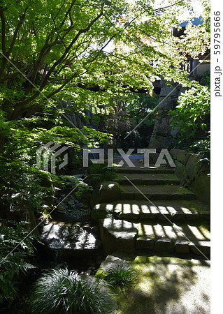 秋の丈山苑　詩泉閣 59795666