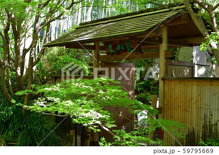 秋の丈山苑　詩泉閣 59795669