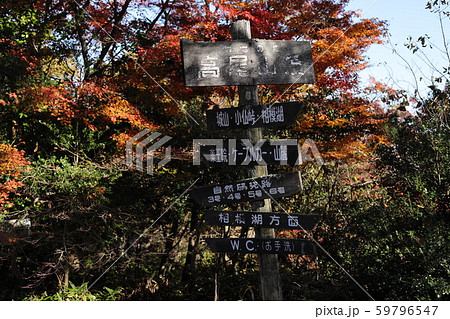 高尾山案内板 59796547