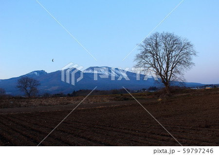 麗しき浅間山 その1911 : 夕暮れの浅間山 その1911 麗しき浅間山 その1911 : 夕暮れの浅間山 その1911 59797246