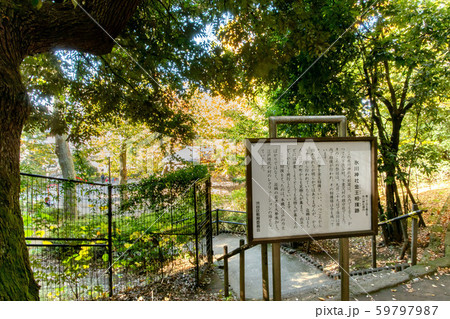 氷川の杜公園の土俵 氷川の杜公園の土俵 59797987