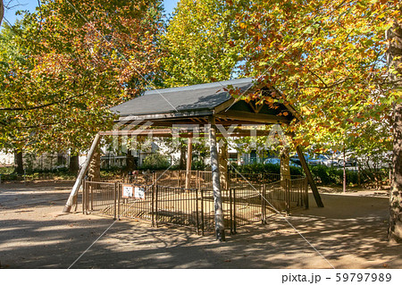 氷川の杜公園の土俵 59797989