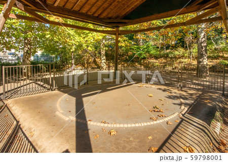 氷川の杜公園の土俵 59798001