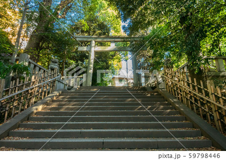 東京都渋谷区、渋谷氷川神社 59798446