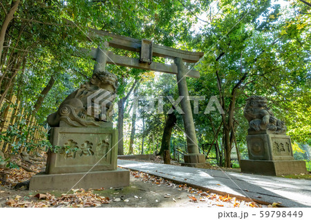 東京都渋谷区の渋谷氷川神社 59798449