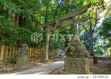 東京都渋谷区の渋谷氷川神社 59798450