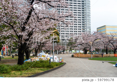 錦糸公園 桜まつり 錦糸公園 桜まつり 59799178