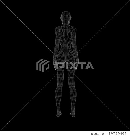 ワイヤーフレーム　女性　ポーズ　perming3DCG イラスト素材 59799495
