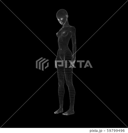 ワイヤーフレーム　女性　ポーズ　perming3DCG イラスト素材 59799496