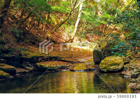 赤目渓谷 59800193